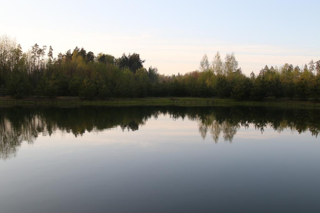 Viesu Maja Forrest Dzimtmisa Exterior foto